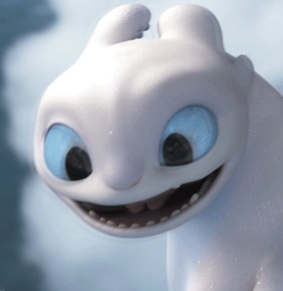 Как звали белого дракона из мультика. Как звали белого дракона из мультика. Light fury. Белый дракон из мультика. Как звали белого дракона из мультика.