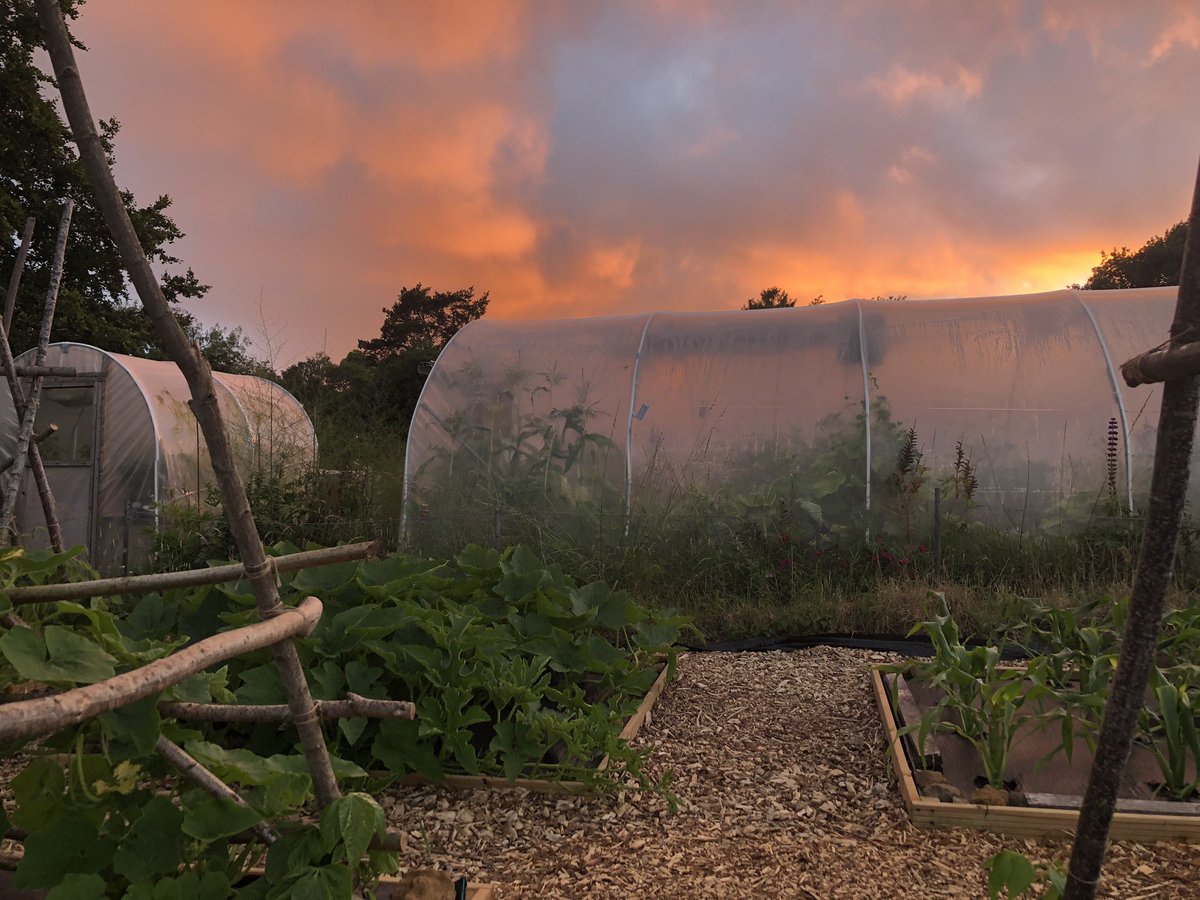 Treated to the most beautiful sunset at the allotment last night..
-
Sowing & growing seeds of a different nature today, as @Chi_College Art, Design & Media teams come together to share good practice and consider opportunities for digital collaboration in 2020/21.
#DigitalSeeds
