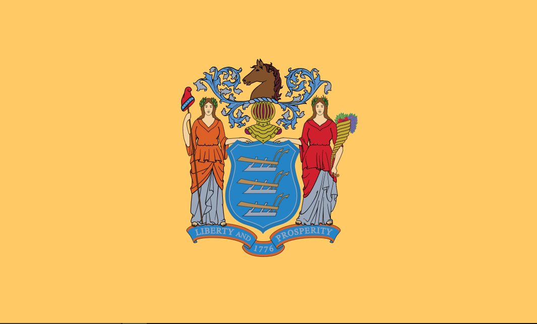  The state of New York and New Jersey have BAD FLAGS (sorry it's true), but for some reason the Port Authority of NY & NJ decided to take two state seals and mash them together on one flag.TWO BAD TASTES THAT TASTE BAD TOGETHER!! WHYht user submission from  @Buffering666