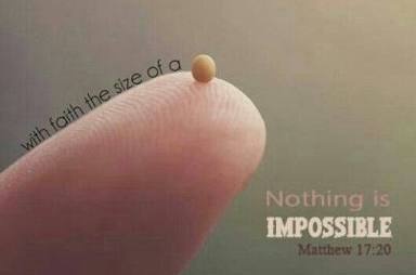 "if you have faith like a mustard seed." A mustard seed is about 1 to 2 millimetres (0.039 to 0.079 in). Very small like in this pictures! And yes, that is what you need to move a mountain. So friends, that your small faith is faith. Use it.