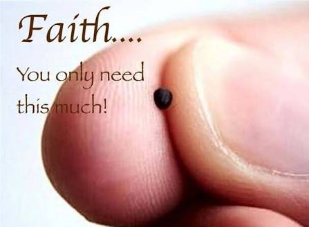 "if you have faith like a mustard seed." A mustard seed is about 1 to 2 millimetres (0.039 to 0.079 in). Very small like in this pictures! And yes, that is what you need to move a mountain. So friends, that your small faith is faith. Use it.