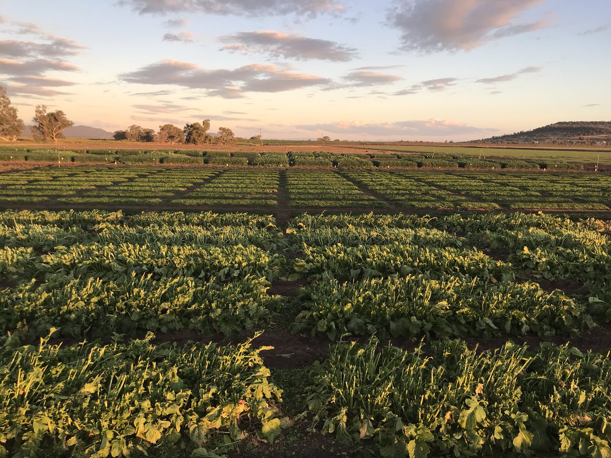 Jon Dadd tweet media