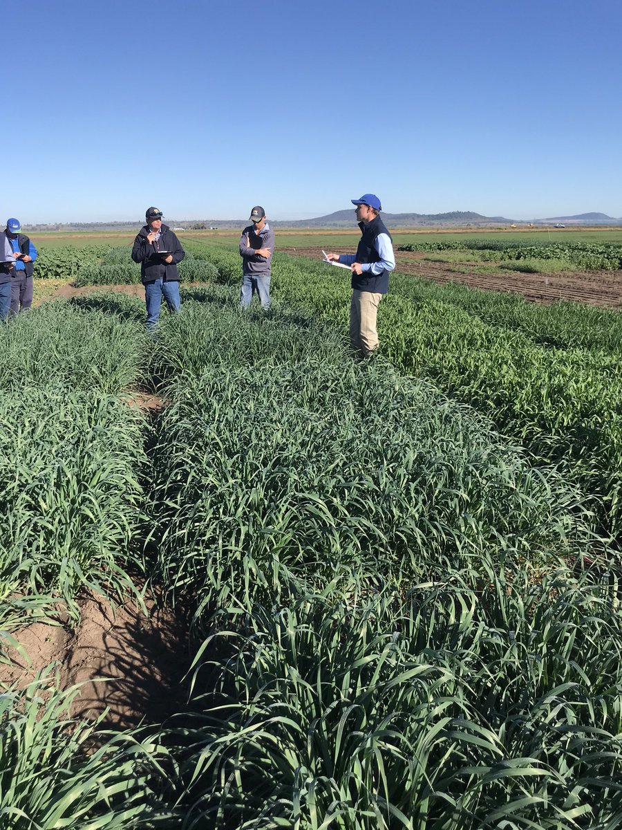 Jon Dadd tweet media