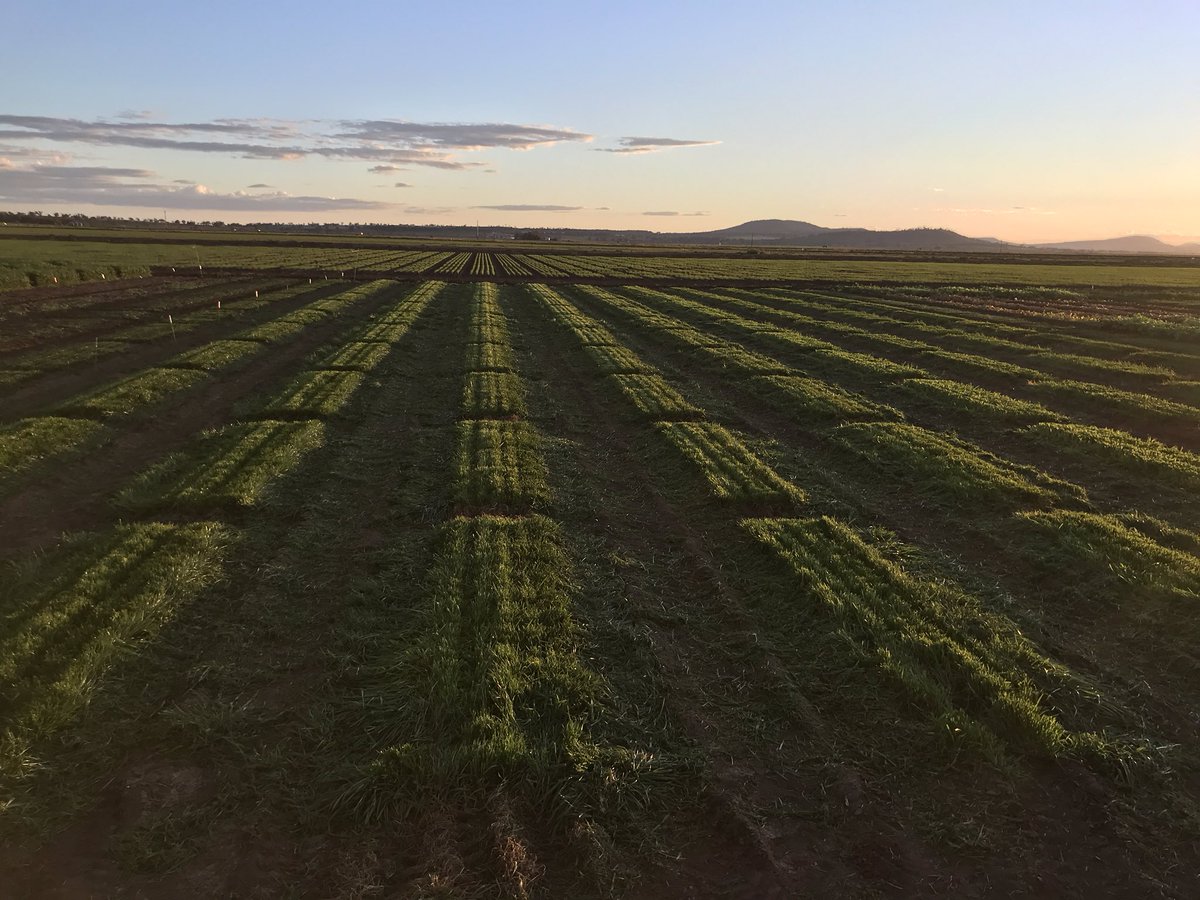 Jon Dadd tweet media