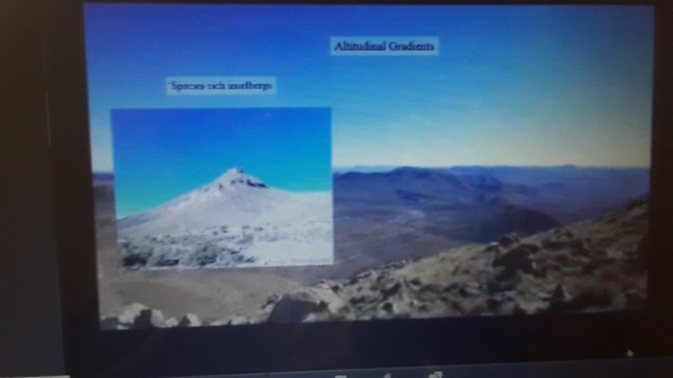 #GSSACongress55 Mentjies said something about the tenacity of those researchers who study vegetation on hill and mountains especially thorny ones. Altitude gradients study in the eastern cape