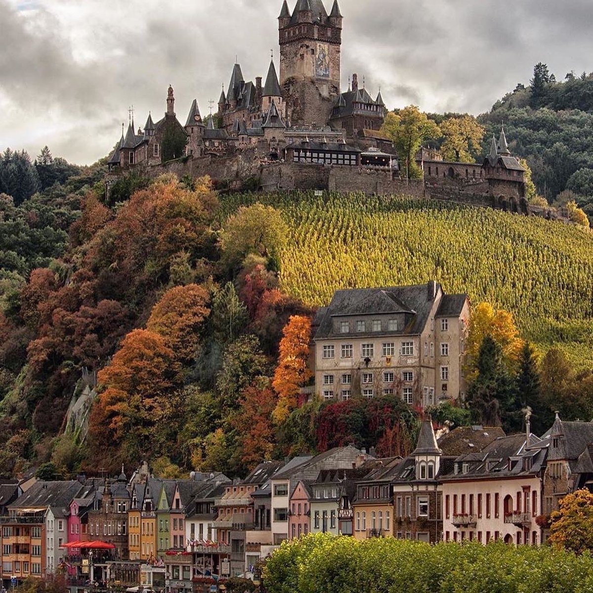 TaleTravel's tweet photo. Germany has to be one the most uniquely beautiful countries in Europe 🇩🇪 
1. Kromlau - @jacob
2. Cochem Castle - @maesters.nl⁠⠀
3. Eltz Castle - @long.explorer⁠
4. Würzburg - @journey.tom
5. Cologne - @hpmoellers
6. Bonn - @andredistel
7. Neuschwanstein Castle - @alaa_oth https://t.co/9SW4KnmvCh