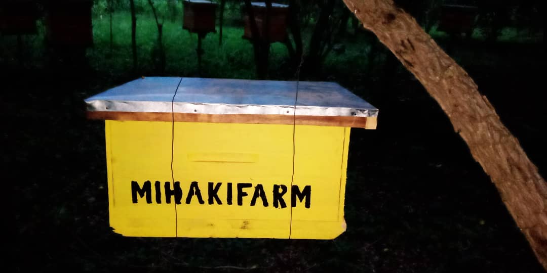 MihakiFarm's tweet image. The #langstroth brood boxes already being hang on trees to bait the #bees. @MAAIF_Uganda @MAAIF_NFLC @DAES_MAAIF @Hon_Ssempijja @PSAgriculture @UgAcdp @TheHiveAfrica @musubifarmug @MihakiFoods
