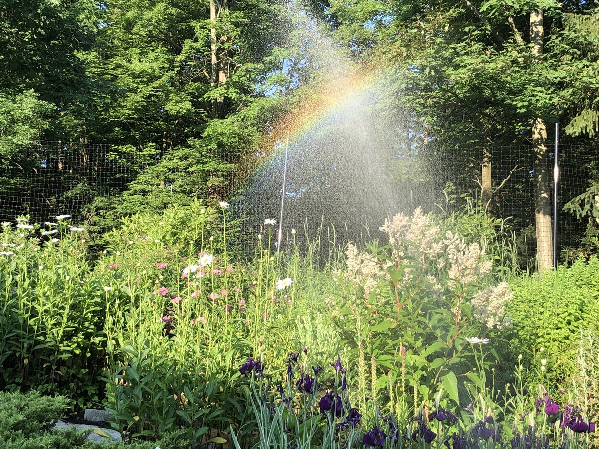 billcolvin's tweet photo. Making rainbows! https://t.co/02YiW6C8EZ