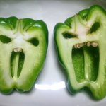 ピーマンの抵抗？？「肉詰め作る気か？」と怒ってるみたいw
