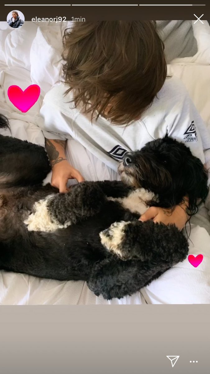 elearnojcalder's tweet photo. elounor ♥️ https://t.co/TfQ3n7VgH2