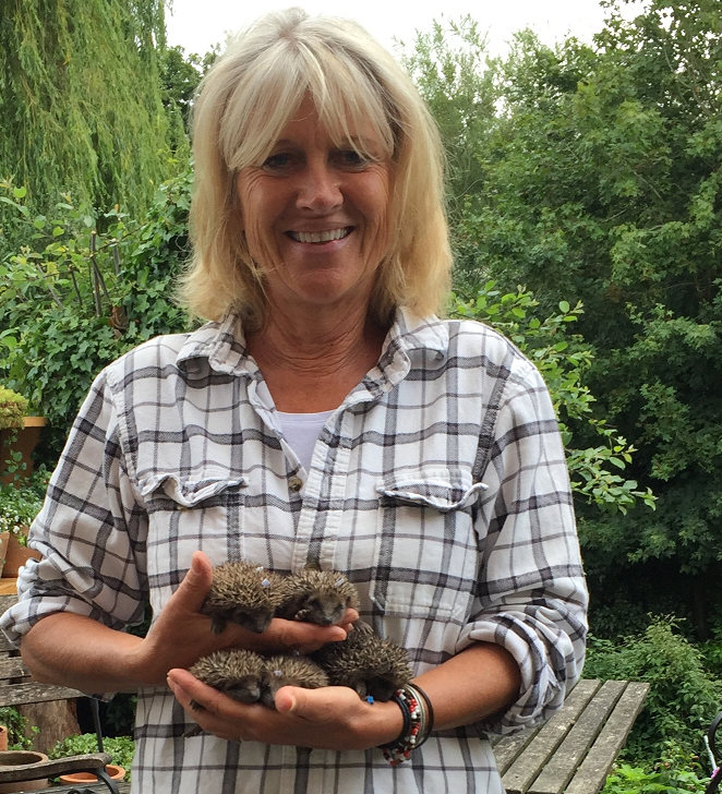 TheTBA_GB's tweet photo. Meet the TBA Team 
 
🦔 Meet Alix, our Membership Executive who in her spare time amongst running &amp; numerous other activities, volunteers at The Suffolk Hedgehog Hospital! Here she is collecting 5 wet and cold orphan Hoglets last week. 
 
#TBAteam 
#MeetTheTeam https://t.co/D2YgpMqyOi