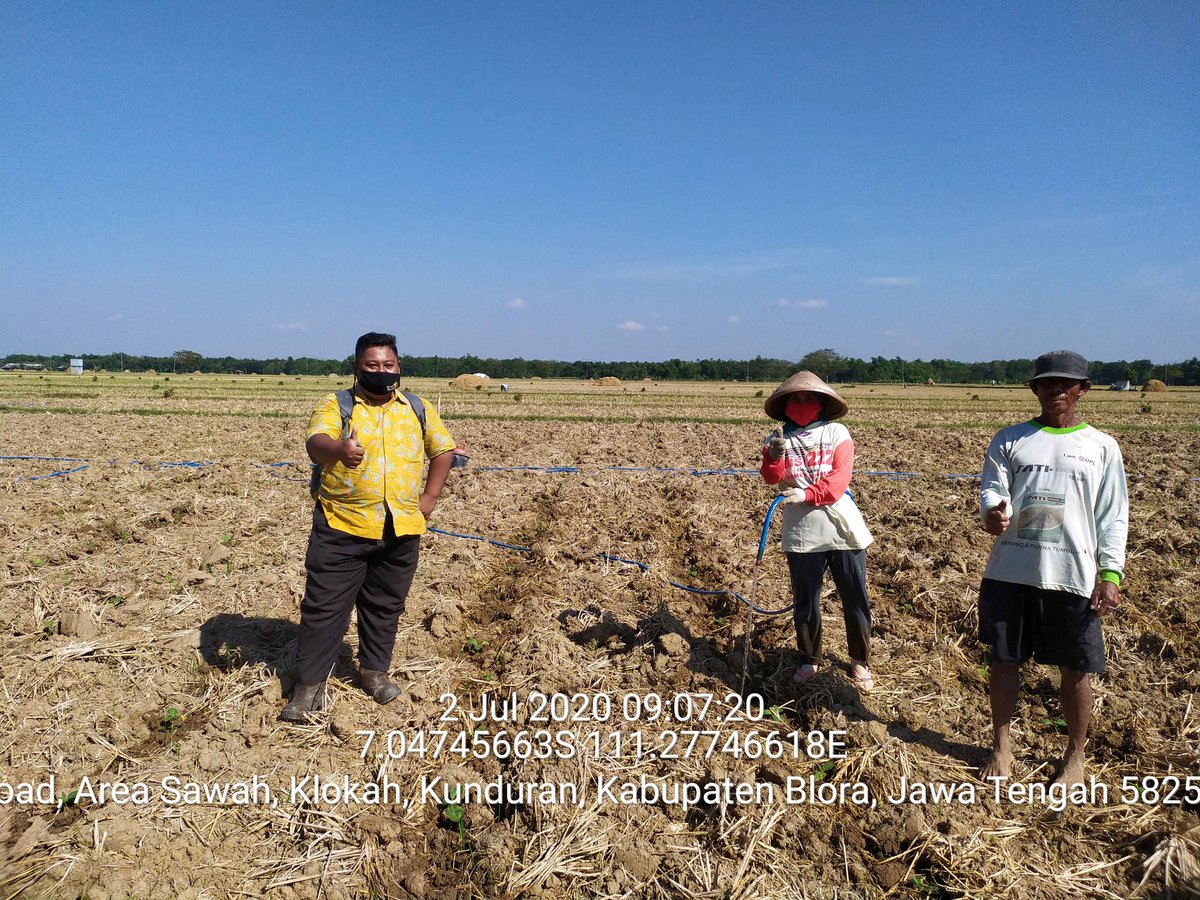 RullyNirmansyah's tweet photo. Monitoring pemanfaatan Bantuan Pupuk untuk tanaman tembakau dari dana DBHCHT semoga memberikan manfaat dan penyemangat petani untuk  menanam tembakau #TKP_PLP3 #Tembakaublora #Perkebunanjaya #PetaniTembakau #PetaniIndonesia @koncotaniblora @DistanbunJateng @fkp2indonesia https://t.co/3LAqAoyE7a