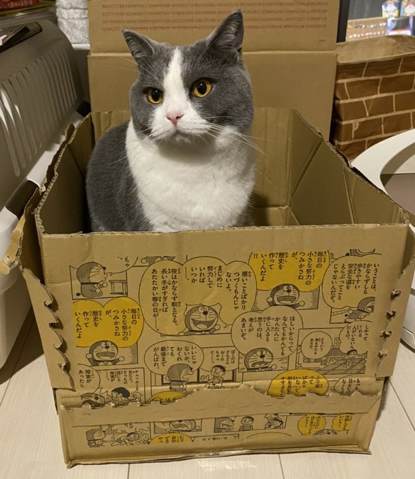 ユニクロドラえもん ユニクロドラえもん
