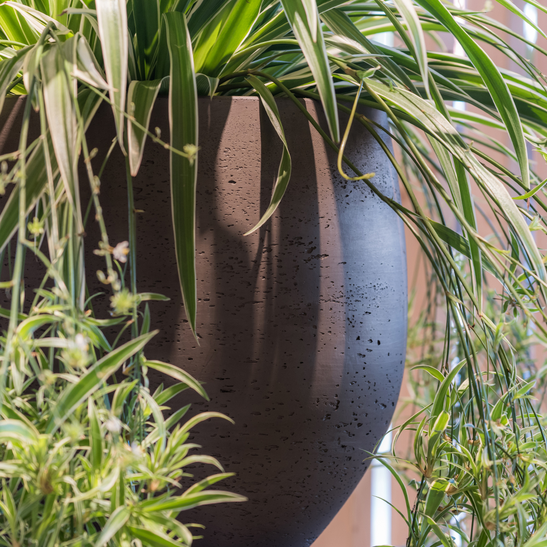 potterypots's tweet photo. Keeping it nice &amp; simple in this complicated  period. 

With its 'less is more' mentality, the rough collection focuses on the tough character of the pot. The sturdy pot brings calmness to the interior even in combination with a refined plant. https://t.co/VBE76Y1IL7