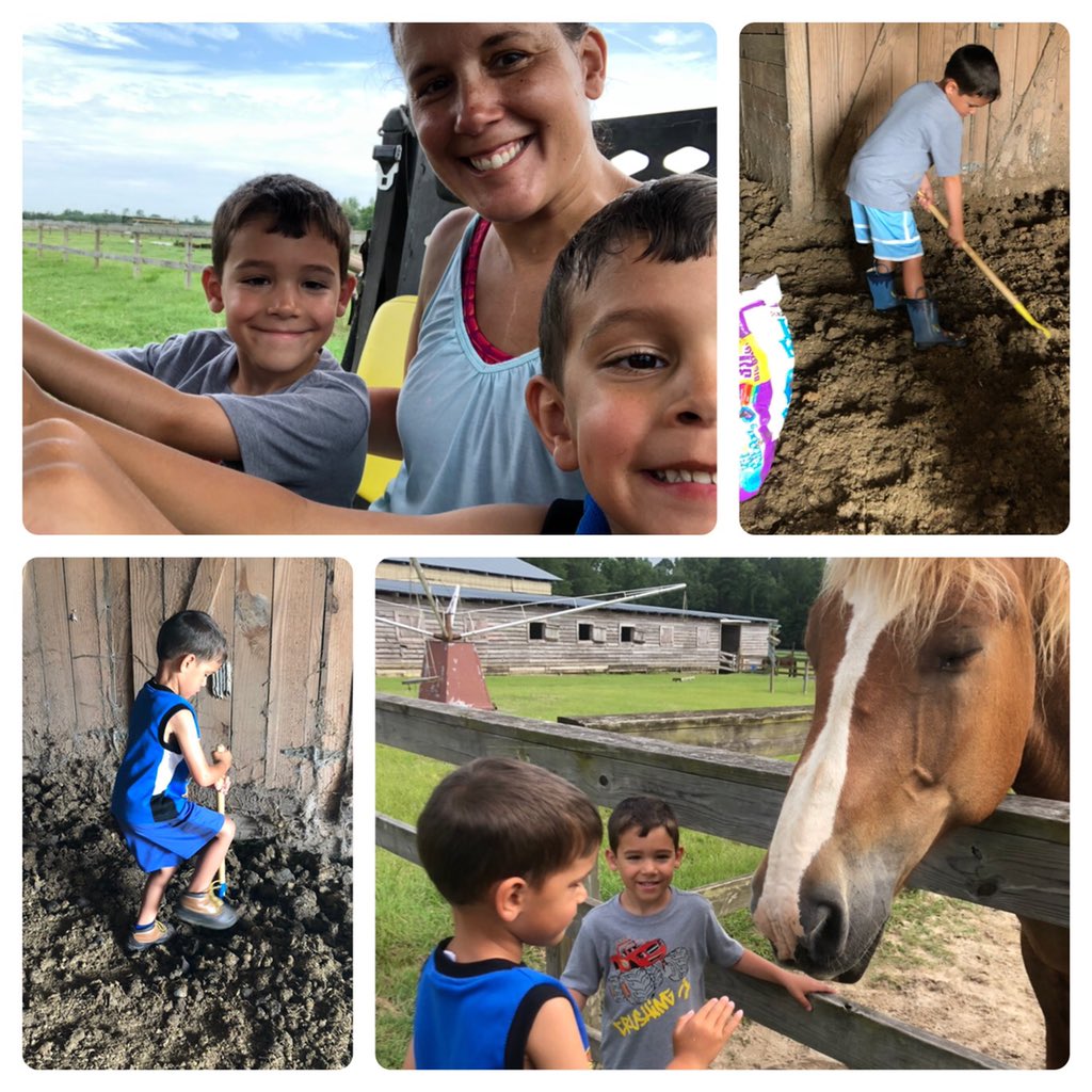 RRichardson001's tweet photo. @Bheathsjm, my boys, and I spent the day shoveling manure and working in the school garden. Good times! #sjmsharks #thestjamesway https://t.co/YRKXNSZbqS