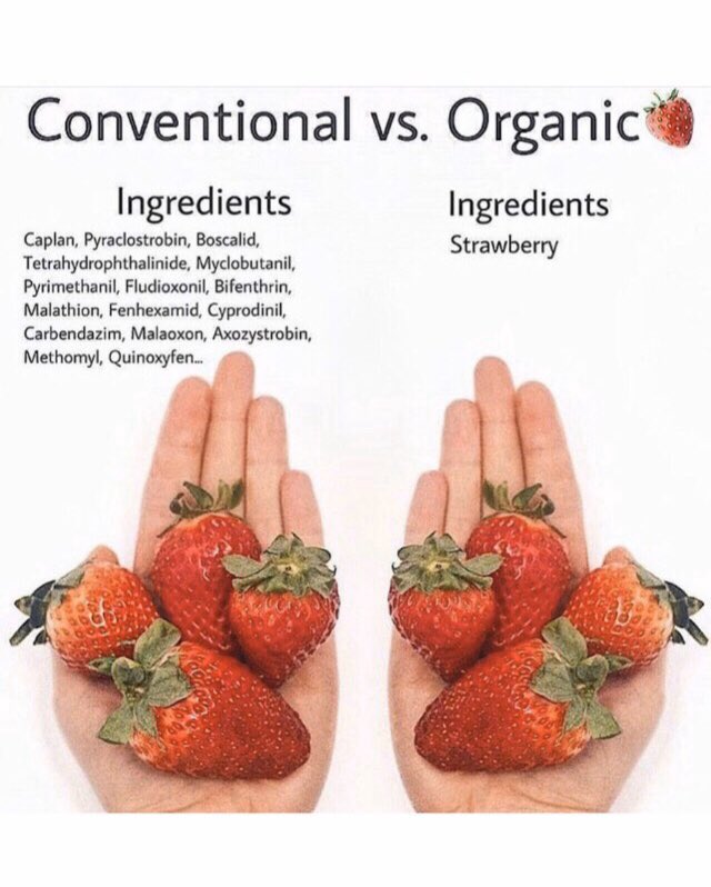 Moornutrition's tweet photo. Conventional vs organic...#Thursdaythoughts #organic #wholefoods #avoidtoxins #youarewhatyoueat #SuddenImpactNutrition https://t.co/3D7qfoONgz