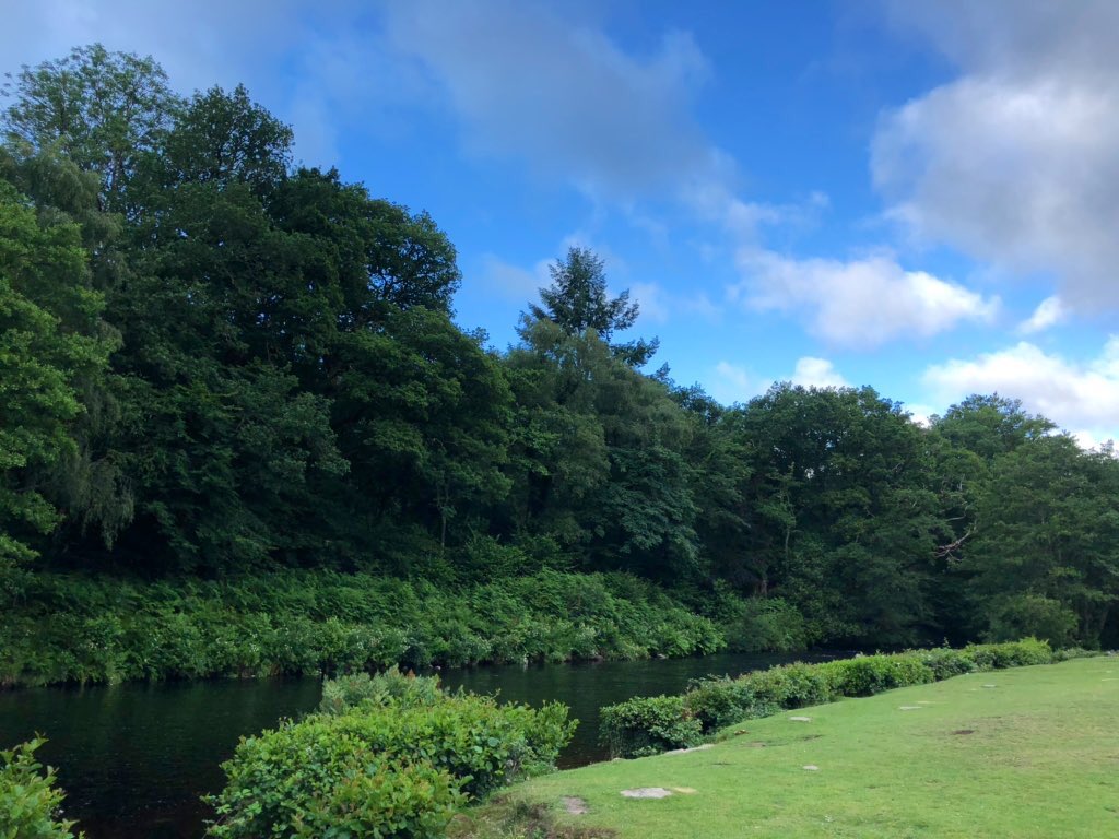 eleanorsharman1's tweet photo. The best start to a dissertation writing day. A 7am wild swim on the moor 🏊🏼♀️ #spitchwick https://t.co/13sDg2jxFR