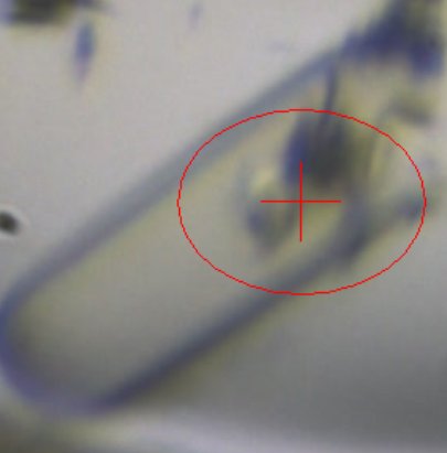 Fast forward 2.5 years and I’m clearing out the crystallisation incubator. I inspect all the plates before chucking them out (because I’m like that) and I see this big beautiful crystal!