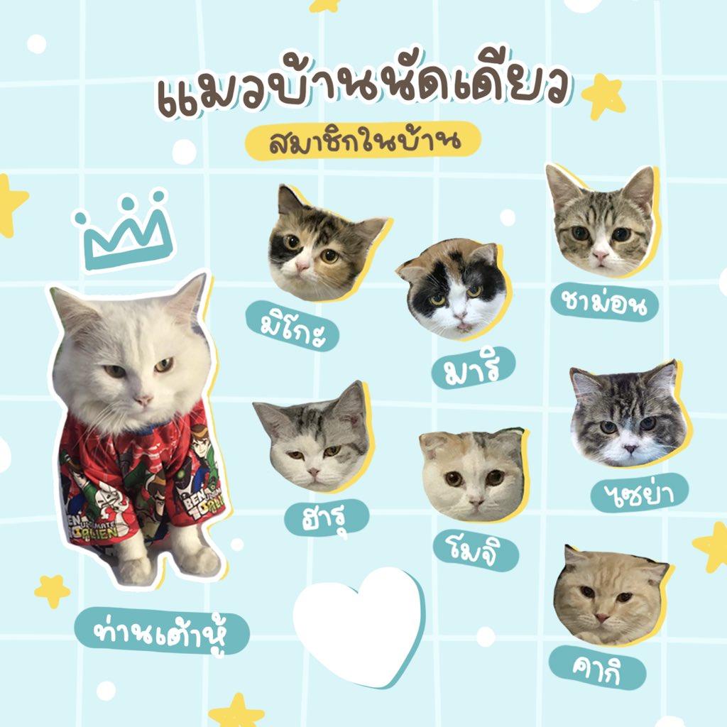น้องนัดเดียว งับ tweet media