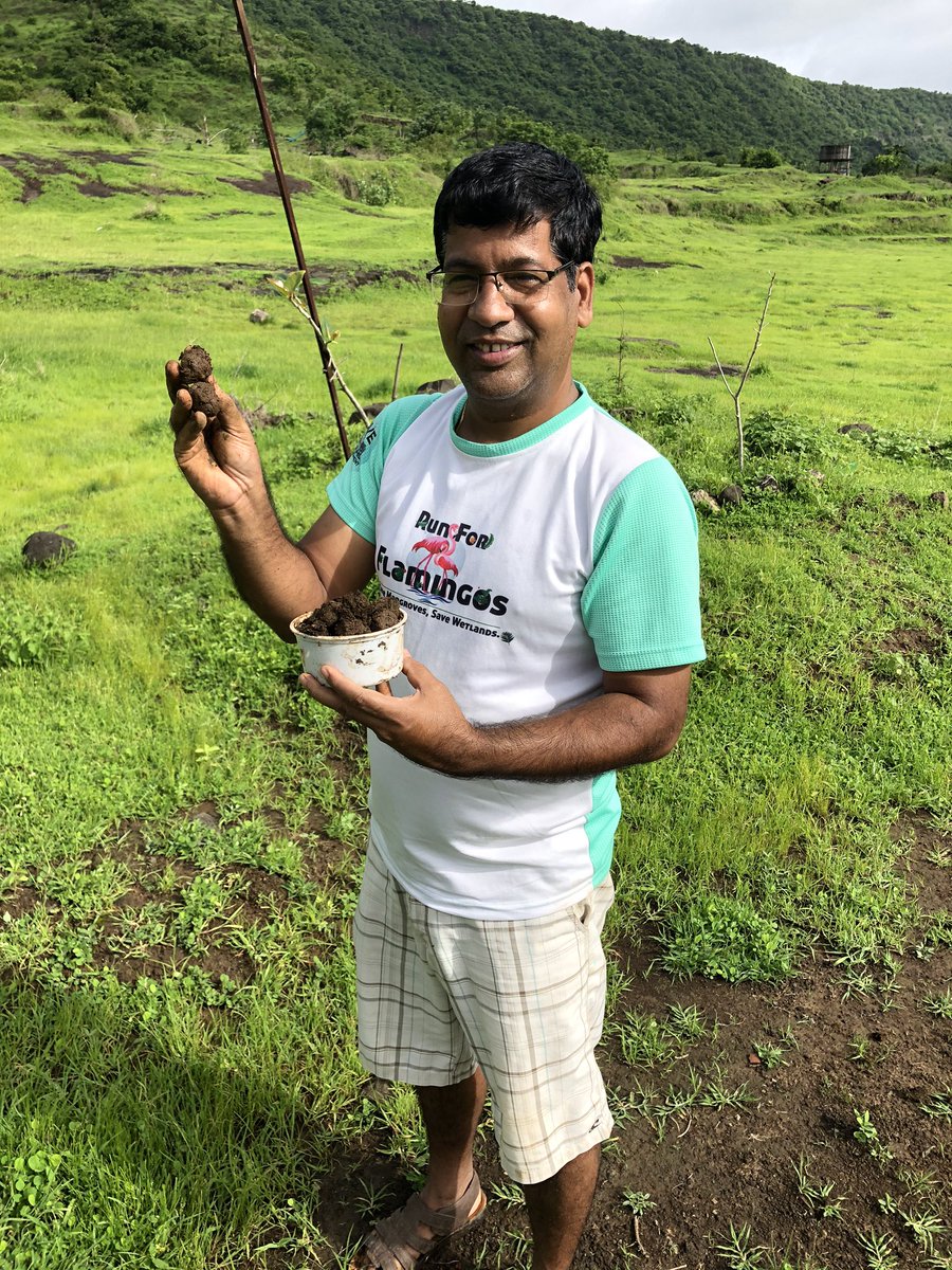 DK_Rise4Green's tweet photo. Happy Birthday my Seedball #Rise4Good baby 👶 Khusi, the youngest environmentalist in my group. A Peepal tree and few Seedballs planted today.
#BirthdayPlantation
#Sanklap2020
#Seedballs
#HappinessChallenge
#Rise4Good
#lovetobeTechM @vrindapisharody @C_P_Gurnani @HPCL https://t.co/nkR6CxMOHS