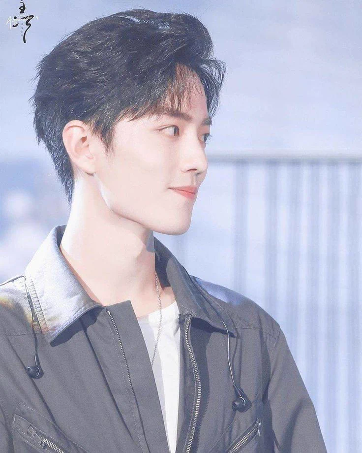 xiao zhan is life on X: 