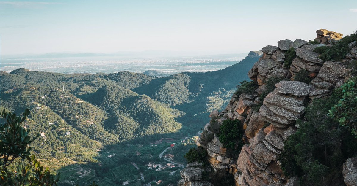 Comunitat Valenciana tweet media