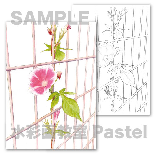水彩画教室パステル 京都 水彩画ぬり絵 通販 では 6月に塗り絵をご購入頂いた方に フェンスの朝顔 の塗り絵をおまけでプレゼントしています T Co M7agzmjfni 人工物と自然物の組み合わせ それぞれ描き方シートを見ながら塗り進めてください 水彩画教室パステル 京都 水彩画ぬり絵 通販 では 6月に塗り絵をご購入頂いた方に フェンスの朝顔 の塗り絵をおまけでプレゼントしています T Co M7agzmjfni 人工物と自然物の組み合わせ それぞれ描き方シートを見ながら塗り進めてください