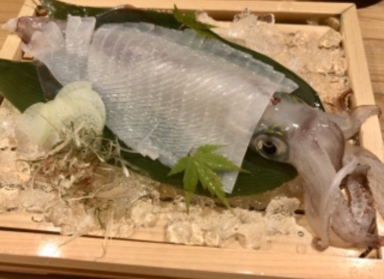 泳ぐイカ Twitter Search Twitter