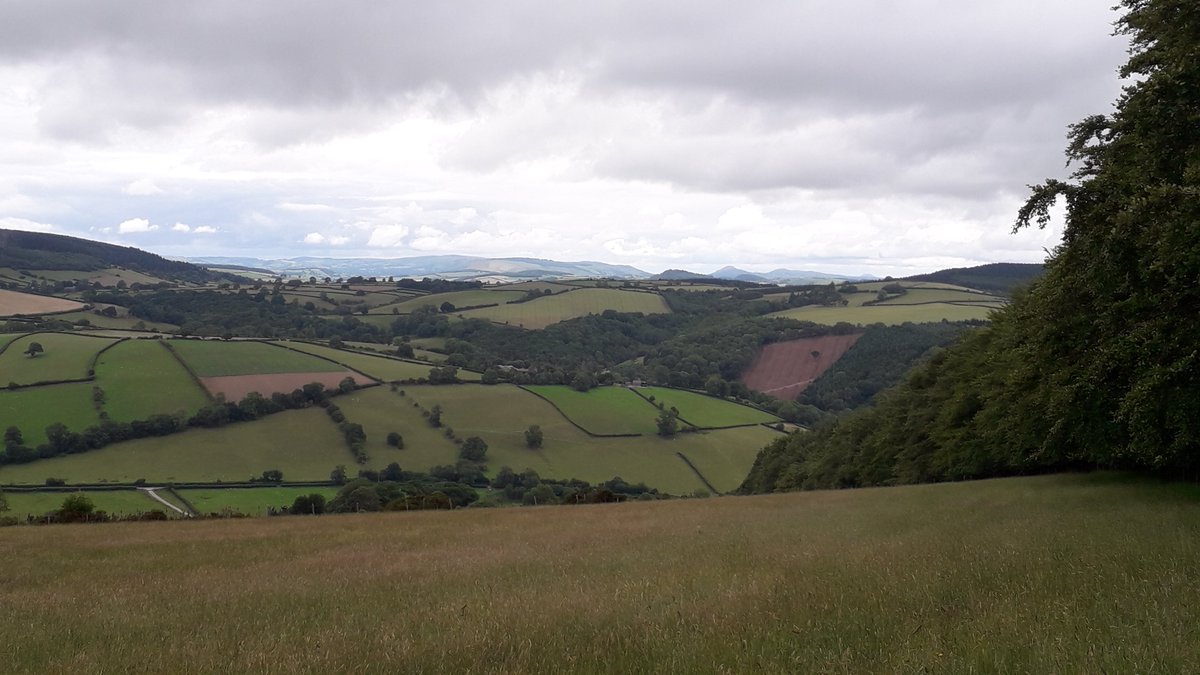 BerringtonBear's tweet photo. Great walk yesterday with two of my pals from @lrcwalks . Bucknell, Stow Hill and back via Redlake Valley. Even though the main group cannot yet resume its programme it's good that we can still meet individually for some healthy exercise and fine views. https://t.co/luc3q2EqZC