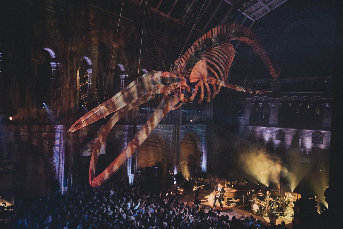 Today, we join with artists & music fans to call on the UK government to offer support to the live music industry, which faces decimation. Join us by sharing pics/vids of your last pre-lockdown gig, using #LetTheMusicPlay. (📷 25 November 2019, Natural History Museum, London )