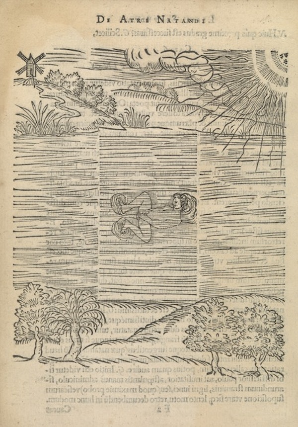 There's the front crawl, the breaststroke and, er, what do you call this forgotten C16th swimming style? 

It's from Everard Digby's The Art of Swimming (1587), probably the earliest English guide to not sinking. 

Via publicdomainreview.org/collection/the…