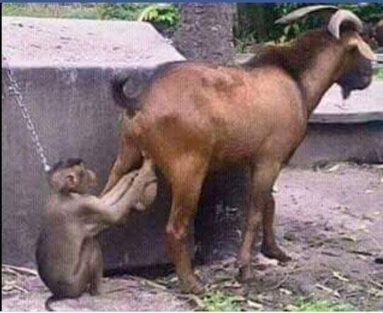 BRIANotimeri's tweet photo. After wearing a boxer for 2 weeks and you hear a innocent inner voice #kusamba Repeat it๐ @Magoola__ @johnlawM_UG @allan_okiria https://t.co/ihMGqNE18x