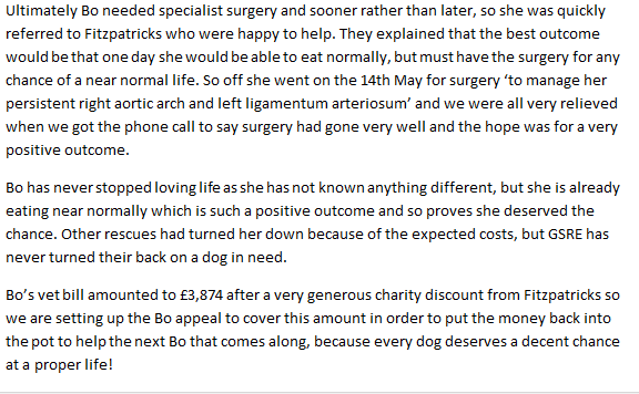 gsrescueelite's tweet photo. When others said No, We said Yes ! Bo was too young to die when there was an option to save her life but ae need your help. If you can't donate a RT is Free ❤🐾
#dogs #germanshepherd #ThursdayThoughts 
https://t.co/Cku6eNvvbd https://t.co/O8ekR60H9m