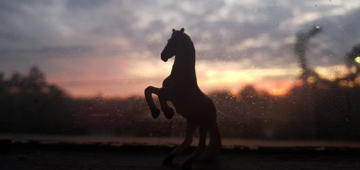 Through this photo, i would like to share, when there is hardship, there is ease. Let's be grateful to what we have today. We might not get it again tomorrow. 

Cheers,
From the cold winter in Melbourne.
#OzAlum2020 #theviewoutofmywindow #australiawardsscholarship