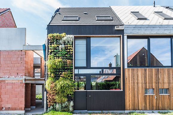 Canopy_groendak's tweet photo. Wie een groengevel wil, maar geen fan is van de klassieke klimplanten, kan een ‘living wall’ overwegen, zoals bij dit project in Gent.
https://t.co/4GyKM22TxR https://t.co/C48l3hUTDx