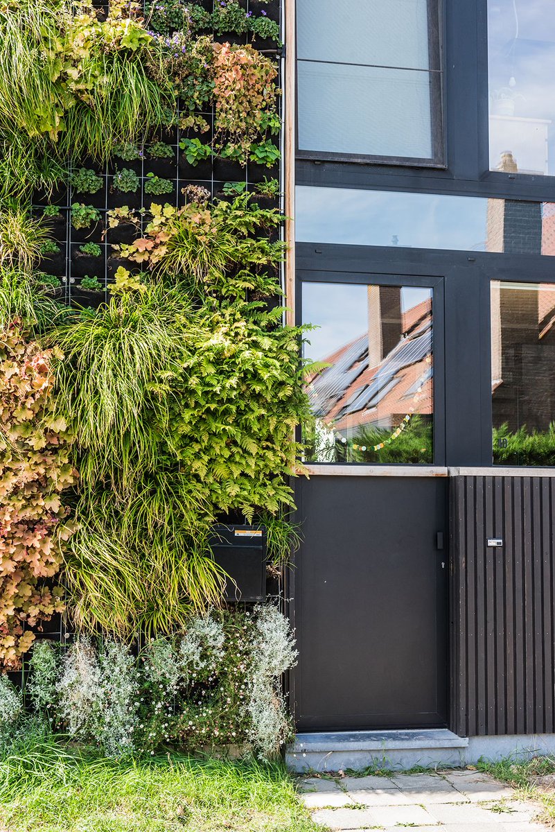 Wie een groengevel wil, maar geen fan is van de klassieke klimplanten, kan een ‘living wall’ overwegen, zoals bij dit project in Gent.
canopy-greenroofs.be/blogPost/groen…