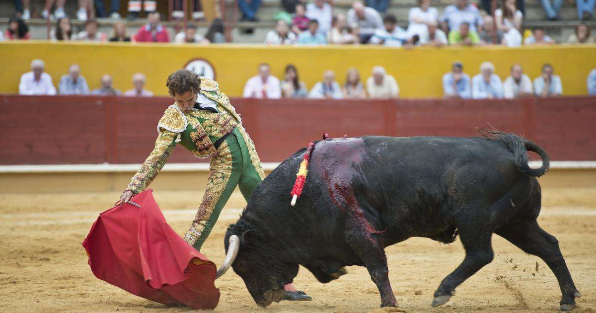 Mer än en miljard i EU-medel finansierar spansk tjurfäktning dlvr.it/RZnykh