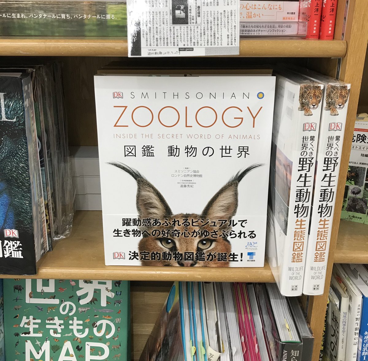 新刊情報】 『ZOOLOGY 図鑑 動物の世界』（東京書籍）本体価格5800円