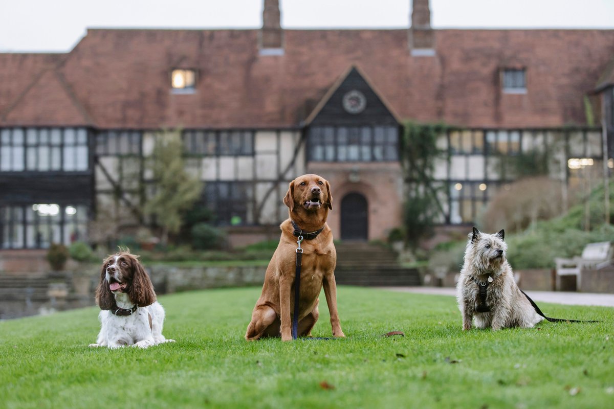 Walkies at Wisley is back this August (8th, 12th, 22nd &amp; 26th)! So, join us for a stroll around the garden after hours with your canine companion. Open especially for Walkies from 4-6pm, all visitors will need to book a time slot in advance. See more here rhs.org.uk/gardens/wisley…