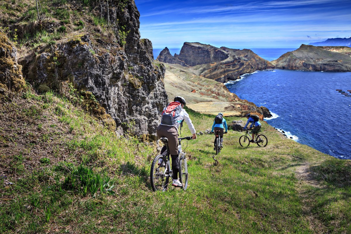 Into the Tribe tweet media