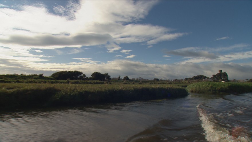 Foxton River Loop, one of NZ's long-forgotten environmental disasters, gets cash boost
tvnz.co.nz/one-news/new-z…