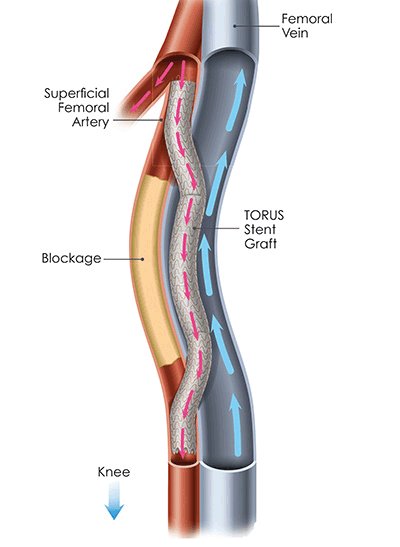 Lorenzo Patrone tweet media