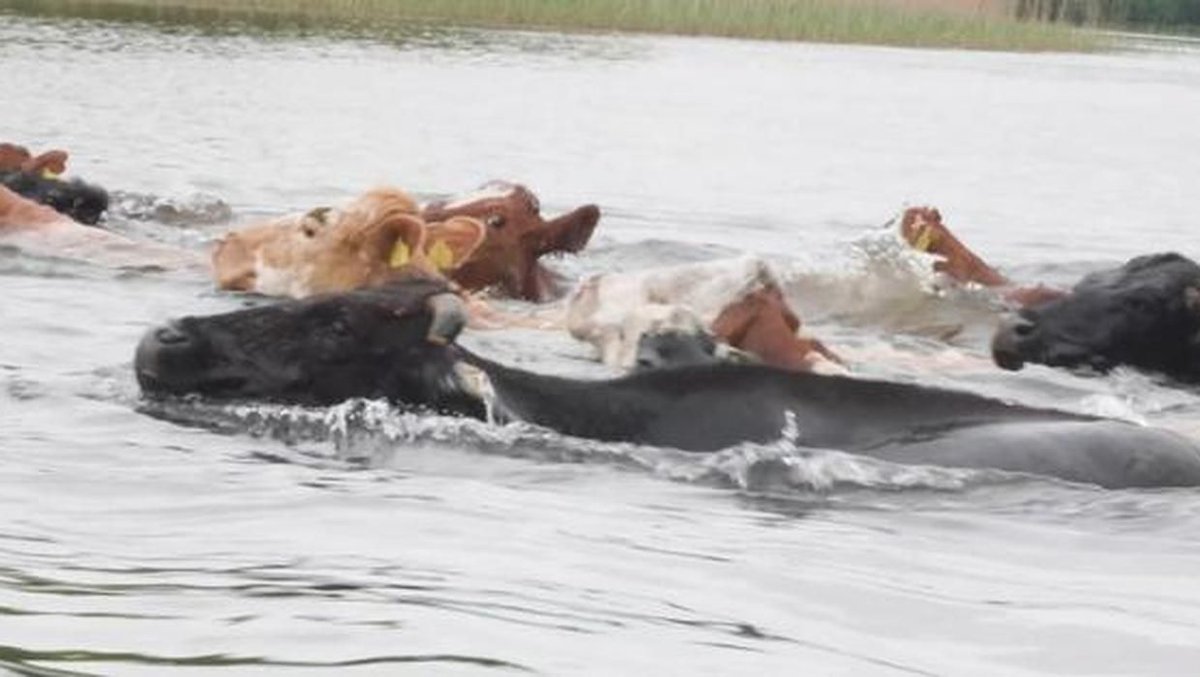 Farming Independent tweet media