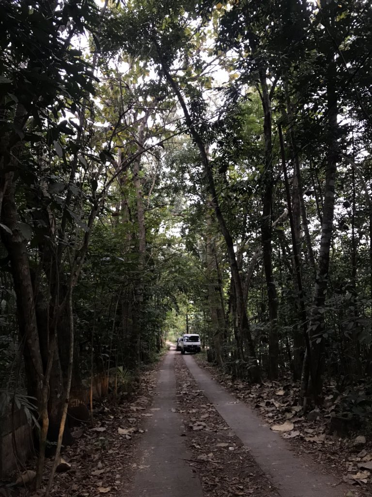 ini jalurnya klo mau ke jalan raya buat pagi2 lari2 enak dsini