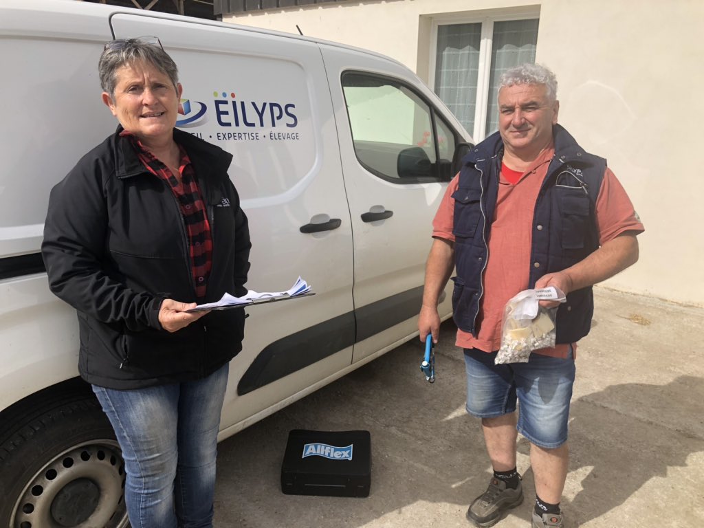 cedricHbreizh35's tweet photo. Prélèvement de Cartilage (ADN) dans l’oreille de mes vaches par @Eilyps pour mettre en place : #genocellules : une fois l’ADN connue de chaque VL je prélèverai un échantillon dans mon tank et grâce à ça je connaîtrais individuellement la qualité du lait ! Quel Evolution !!!👍 https://t.co/JC33GvObd6
