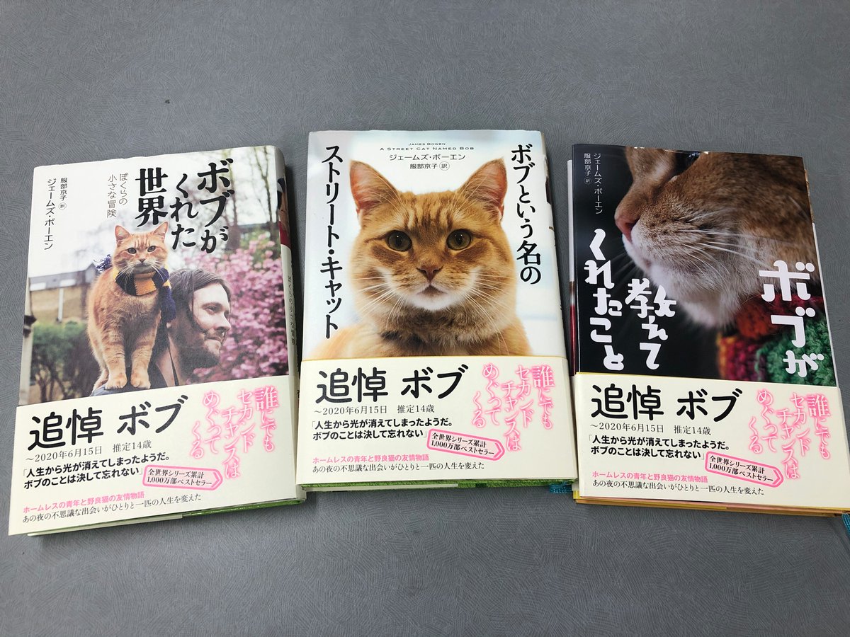 猫びより＠『猫びより』秋号発売中！ on X: 