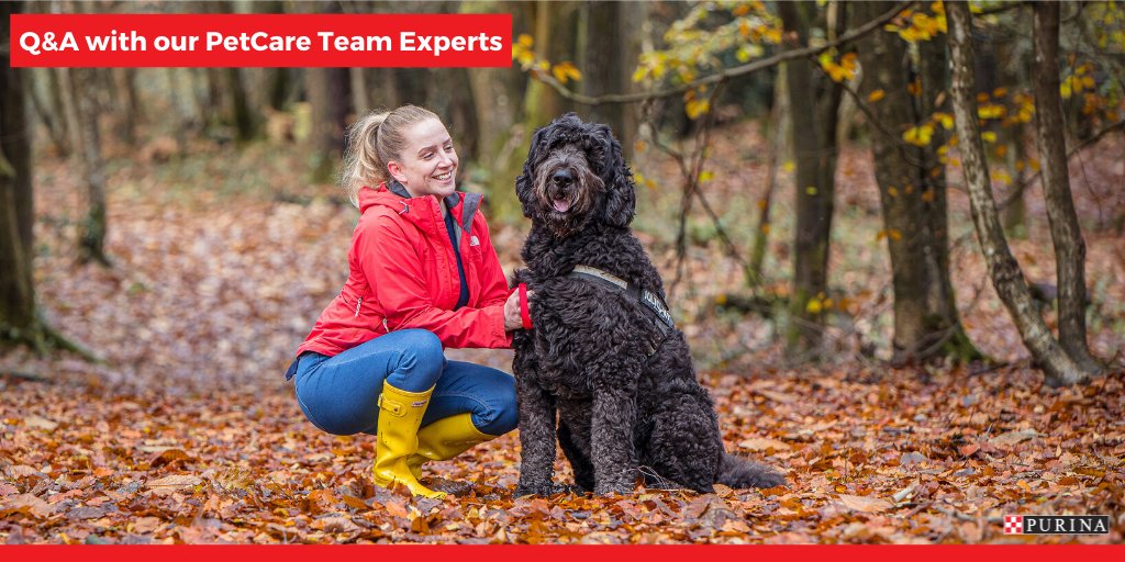 Want to learn more about NEW #ProPlanLiveClear - the world's first and only Cat allergen-reducing food? 🏆✨ 

Submit any questions to our PetCare Team Experts, Lilly &amp; Hayley, on our Instagram Stories Q&amp;A: instagram.com/stories/purina… or ask us a Q below! 🐱🐾 #WorldAllergyWeek