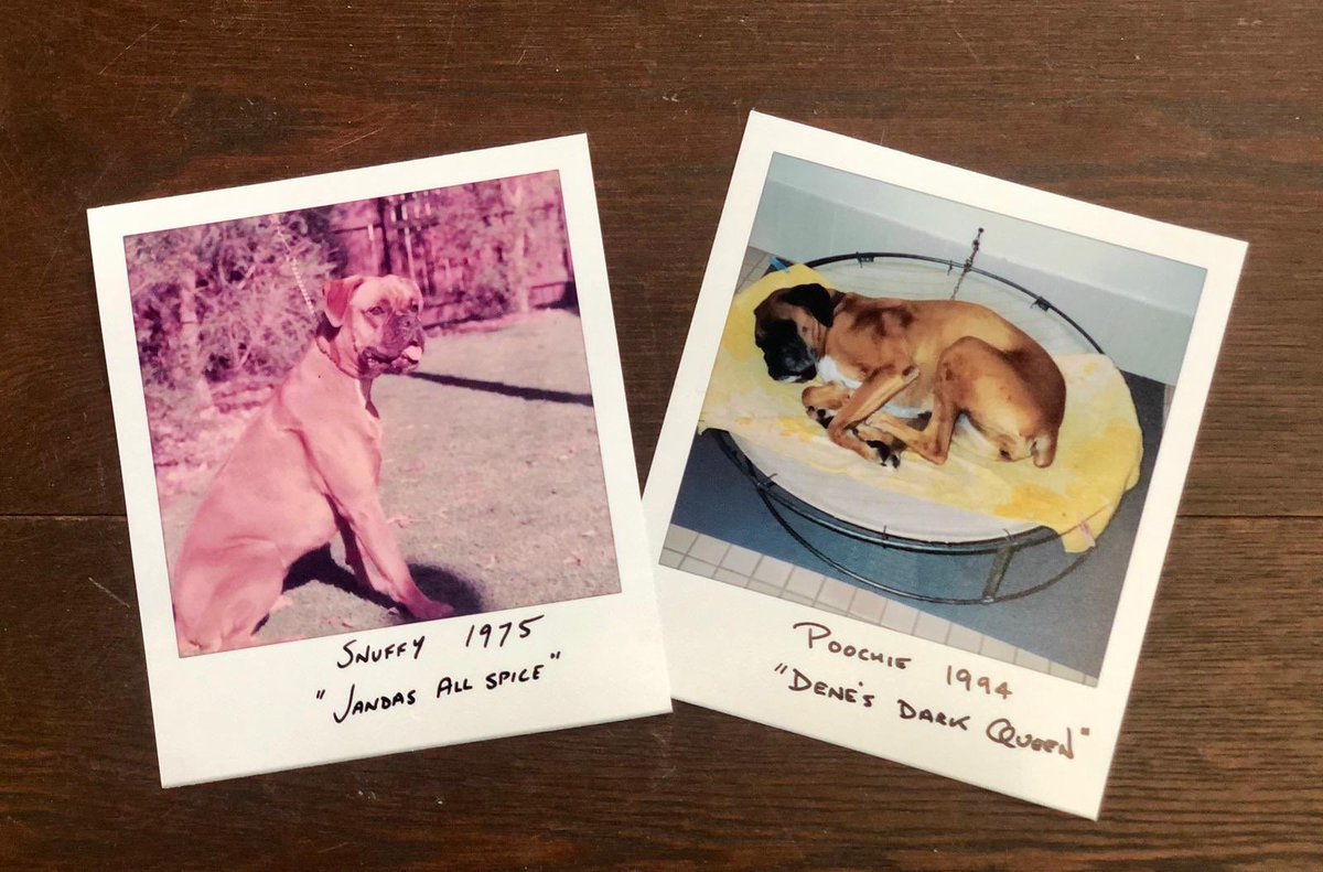 Justin North tweet media