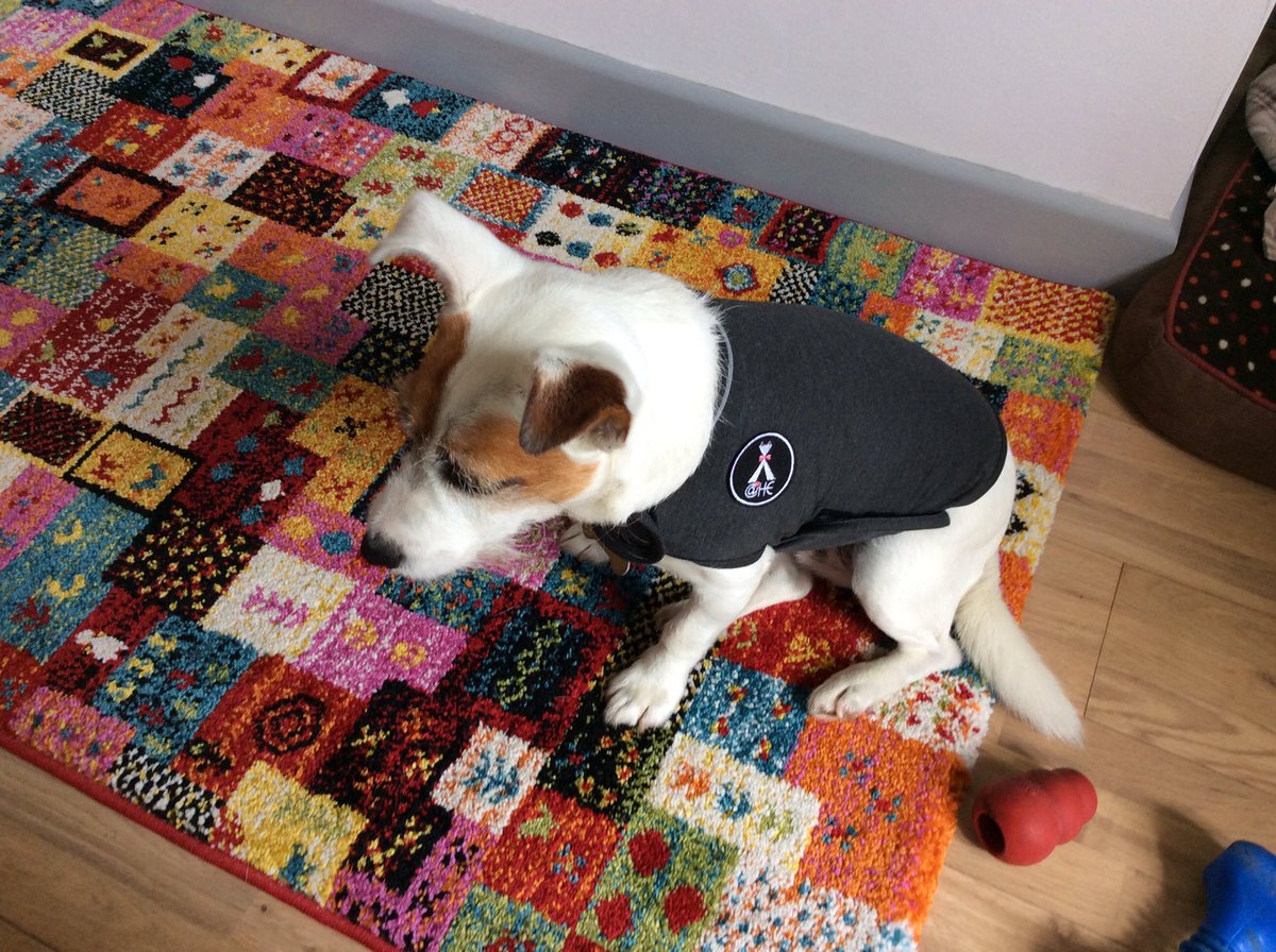 sandycann2's tweet photo. #thundervest Fred modelling , 🙏 it works https://t.co/tq60OQMubh