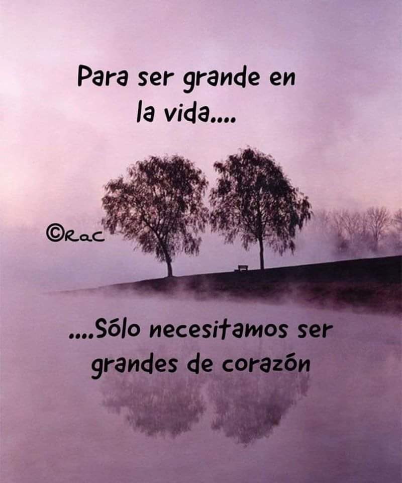 David Urbina a Twitter: "Para ser grande en la vida, sólo necesitamos ser  grandes de corazón. #Reflexión… "